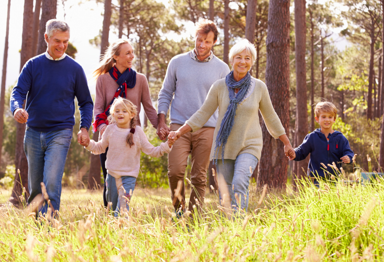 Häuser mit ökologischen Wandaufbau
